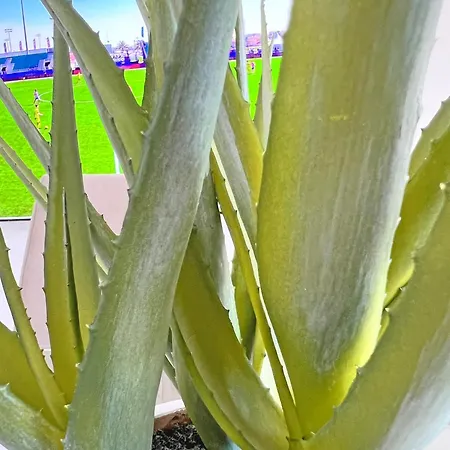 Lujo En La Playa. Parking Gratis شقة *